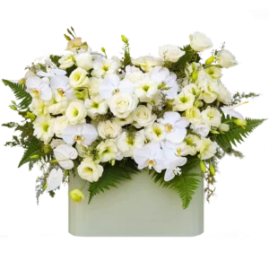 باکس گل رز و ارکیده سفید